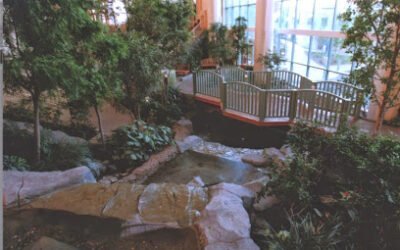 Woodbury Central Park